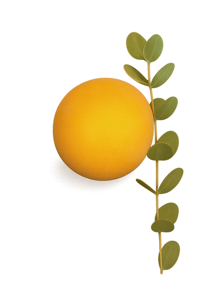 Forestière Eucalyptus